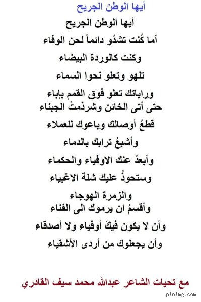 ما هي أجمل قصيدة للوطن؟ رحلة البحث عن "الروح" في جسد القصيد