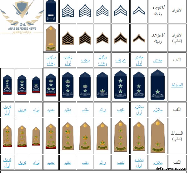 القوات الخاصة رتب: ما وراء النجوم والشرائط في عالم النخبة
