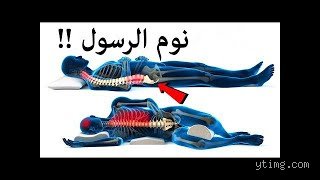 على أي جانب كان النبي ينام؟ كشف الأسرار النبوية في أدب الضجعة