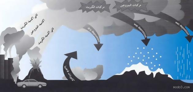 في أي فصل يكثر المطر؟ لغز الفصول الذي لا يعترف بالتقويم
