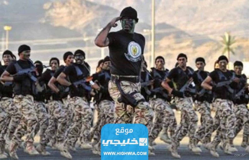 كم الطول المطلوب في القوات الخاصة؟ الدليل الصارم لشروط القامة