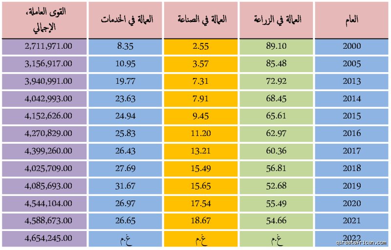 كم دخل الفرد في رواندا؟ الحقيقة بين طموحات "كيغالي" والواقع المرير