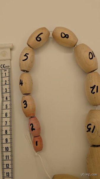 كم طول خصية الرجل؟ الحقيقة وراء الأرقام والمعايير الصحية