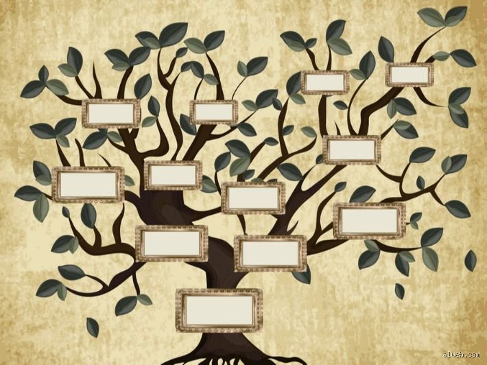 كم عدد الأطفال الذين أنجبهم يعقوب من ليا؟ الحقيقة الكاملة وراء النسل التوراتي