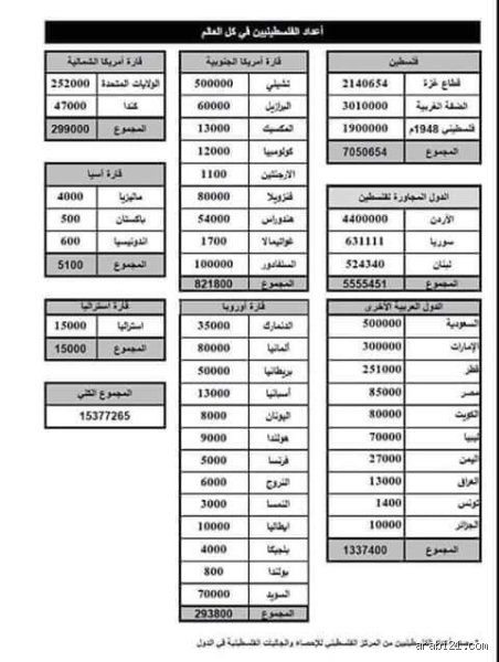 كم عدد الأمريكيين الفلسطينيين؟ الأرقام المخفية خلف غياب التصنيف الرسمي