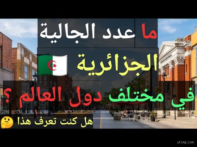 كم عدد الجزائريين في أوروبا؟ الأرقام الحقيقية خلف أمواج الهجرة