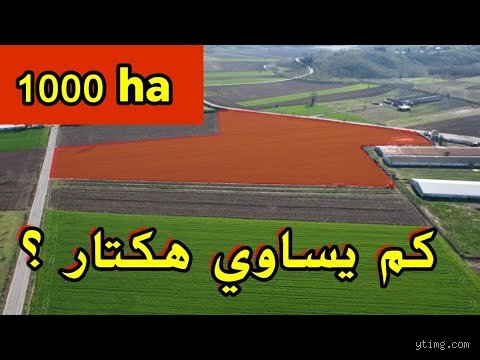 كم يساوي 1 هكتار في الجزائر؟ دليلك الشامل لفهم المساحات العقارية
