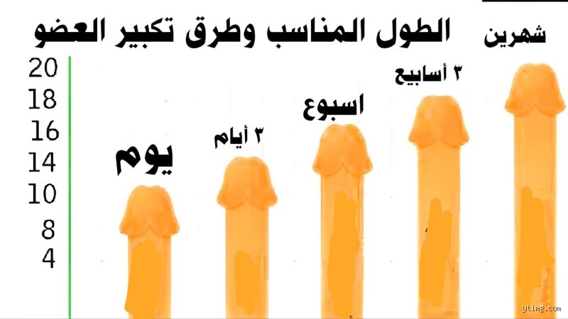 كيف يتم تكبير ذكر الرجل طبيعياً؟ الدليل الطبي الواقعي بعيداً عن الخرافات