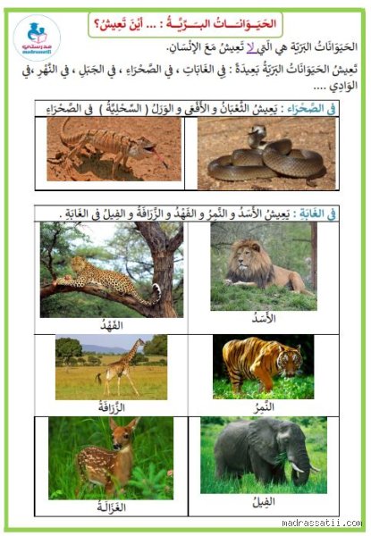 ما اسم المكان الذي تعيش فيه الحيوانات؟ رحلة في عمق الموطن البيئي