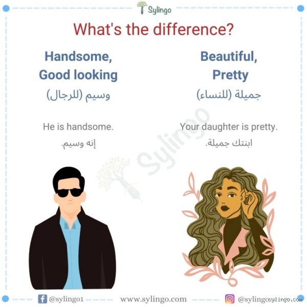 ما الفرق بين beautiful و handsome؟ دليل شامل لفهم الجمال في اللغة الإنجليزية