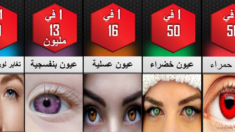 ما هو أفضل لون للعين؟ الحقيقة التطورية والجمالية خلف نظراتنا
