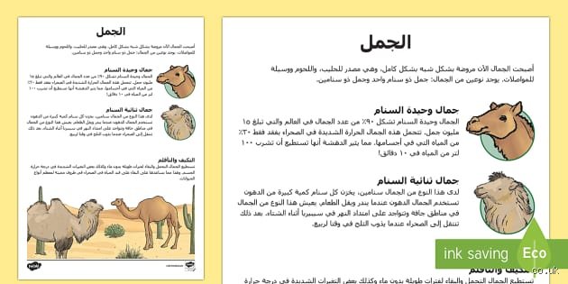 ما هو الجمال في خمس جمل؟ تفكيك اللغز خلف فتنة الوجود