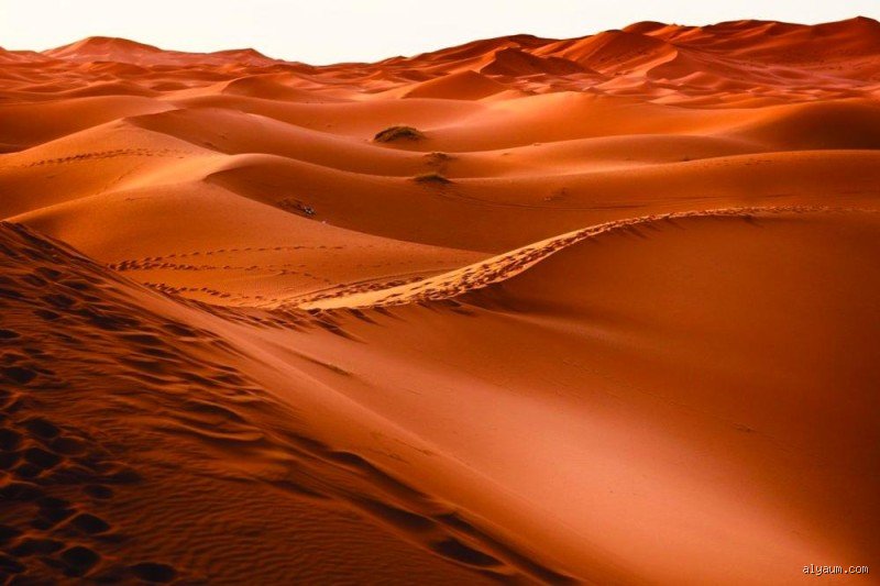 ما هي أخطر صحاري العالم؟ مواجهة مع الجحيم المنسي
