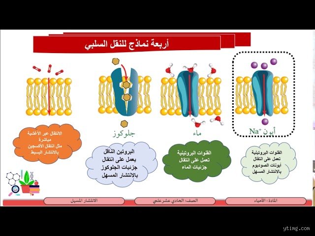 ما هي أنواع الانتشار؟ فك شفرة الحركة الصامتة التي تحكم عالمنا