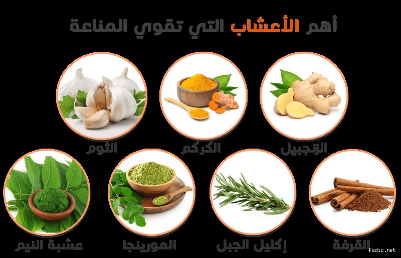 ما هي الأشياء التي تقوي المناعة؟ دليل علمي بعيد عن خرافات "الوصفات السحرية"