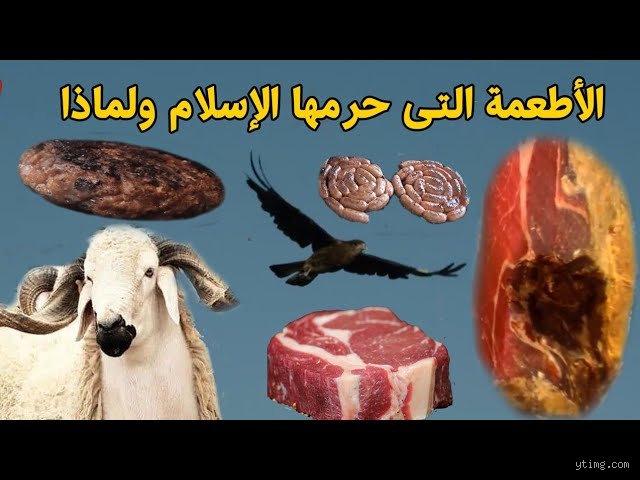 ما هي الأكلات المميتة؟ حقائق مرعبة تخفيها أطباقك اليومية