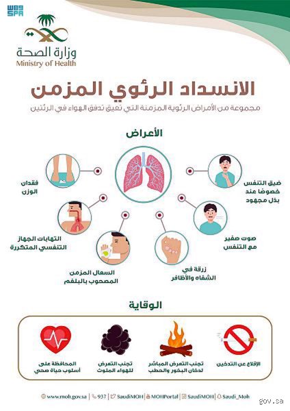 ما هي الأمراض الرئوية الخمسة الرئيسية؟ دليل طبي شامل يتجاوز السطحية
