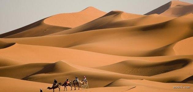 ما هي الصحراء الأكثر شهرة في العالم؟ أسرار الرمال التي لا تنام