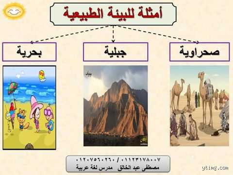 خمسة أمثلة على البيئة: رحلة تتجاوز مجرد المساحات الخضراء في عالمنا المتغير