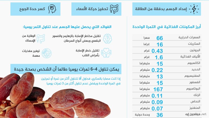 ماذا يحدث لجسمك إذا أكلت التمر يومياً؟ إليك الإجابة الصادمة من واقع بيولوجيا الإنسان