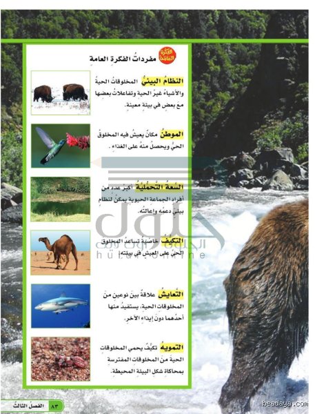 ماذا يسمى المكان الذي تعيش فيه المخلوقات الحية بيت العلم وما وراء هذا المفهوم البيئي؟