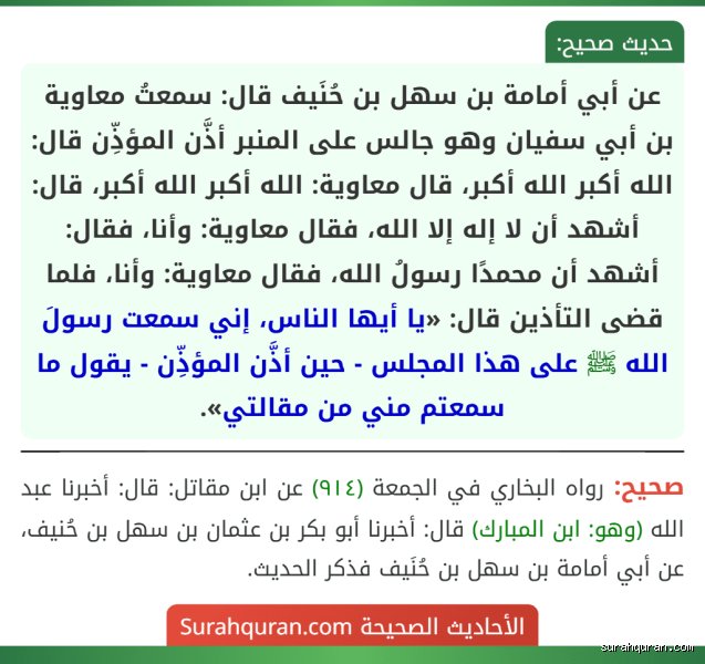ماذا يقول أهل السنة عن معاوية؟ قراءة هادئة في ضجيج التاريخ