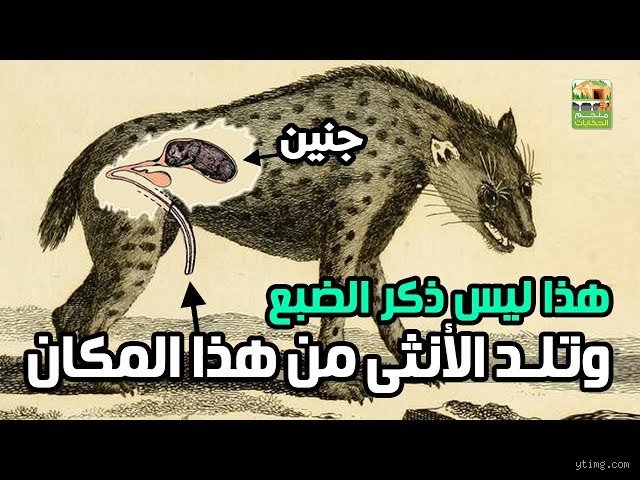 ماهو الحيوان الذي ينكح نفسه؟ لغز التكاثر الذاتي في الطبيعة