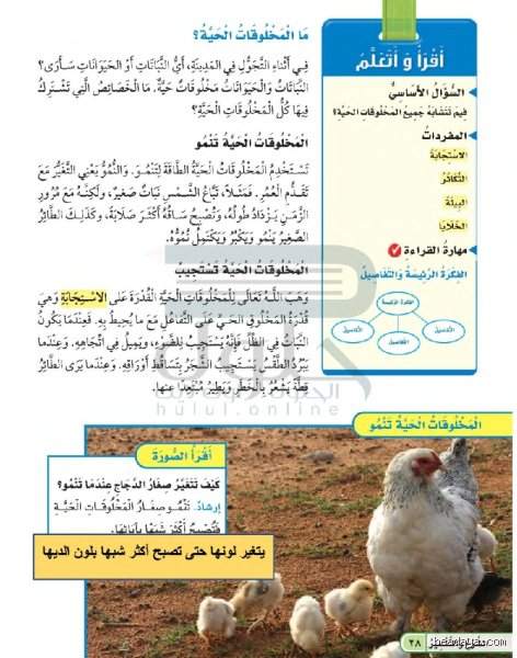 ما هو مكان الذي يعيش المخلوق الحي و ما يحيط به من مخلوقات حية و أشياء غير حية وعلاقته بالتوازن البيئي؟