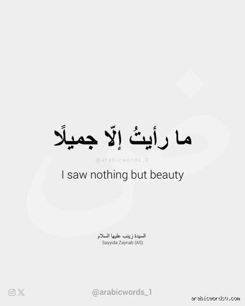 من انتصر في معركة الجمل؟ قراءة في فوضى الدماء ورهانات السياسة