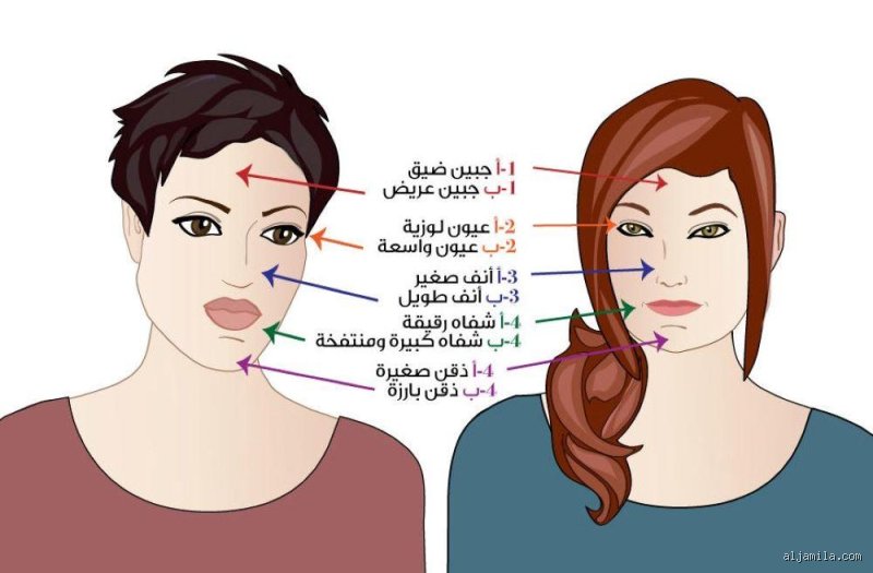 مواصفات ملامح الوجه البشري: ما وراء النظرة الأولى