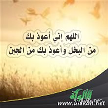 Language: Arabic