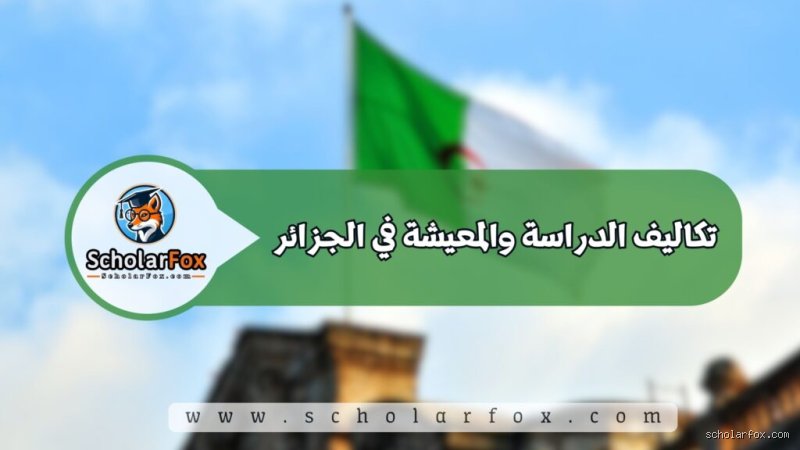 هل الجزائر بلد جيد للدراسة؟ دليل شامل يتجاوز الصور النمطية