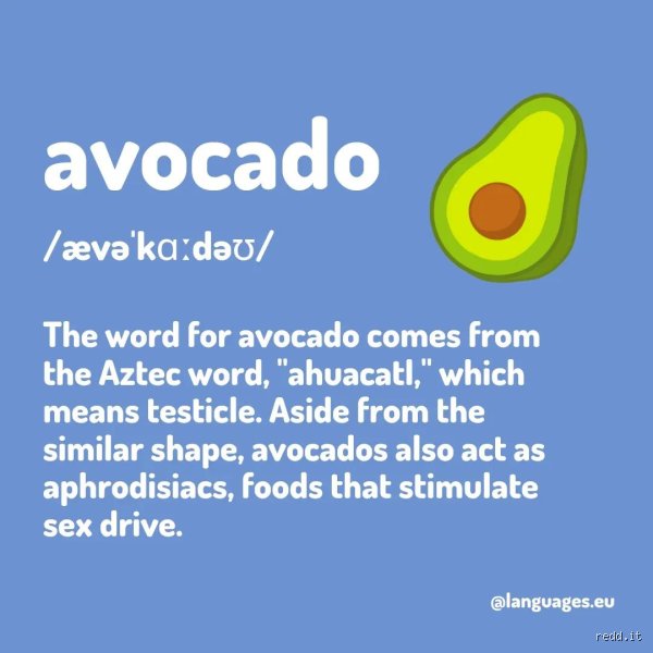 هل تعني كلمة aguacate خصية؟ الحقيقة وراء أسطورة لغوية مثيرة