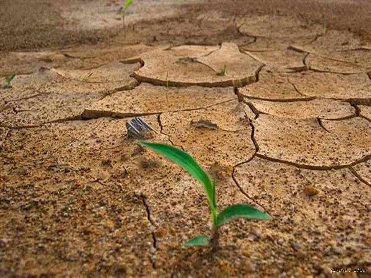 هل قلة المطر غضب من الله؟ بين الموروث الديني ومنطق الطبيعة الجاف