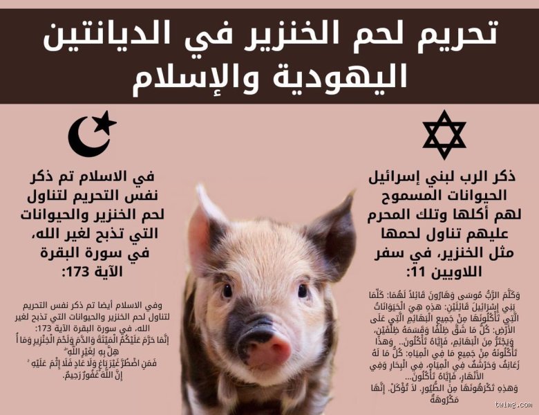 هل يجوز للعلويين أكل لحم الخنزير؟ الحقيقة بين الموروث والواقع