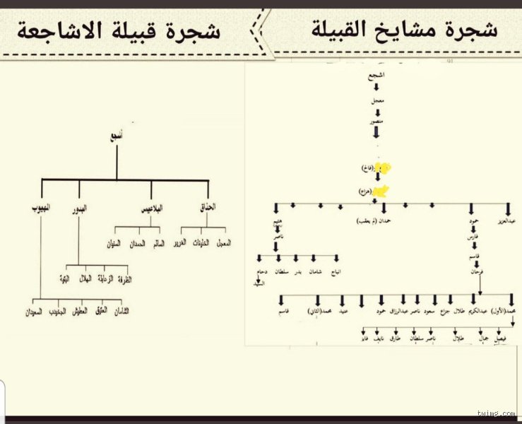 الاشجعي من اي قبيله ولماذا تثير الأنساب هذا الجدل المستمر؟