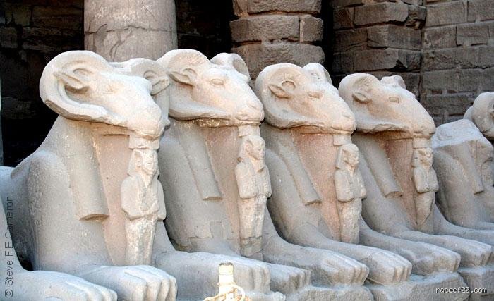 ما هي ديانة المغرب قبل الإسلام؟ متاهة الآلهة المنسية بين صخور الأطلس