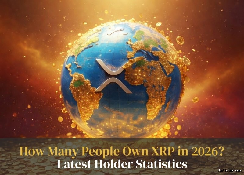 كم عدد الأشخاص الذين يملكون 1000 عملة XRP؟ فك شفرة التوزيع في دفتر حسابات ريبل