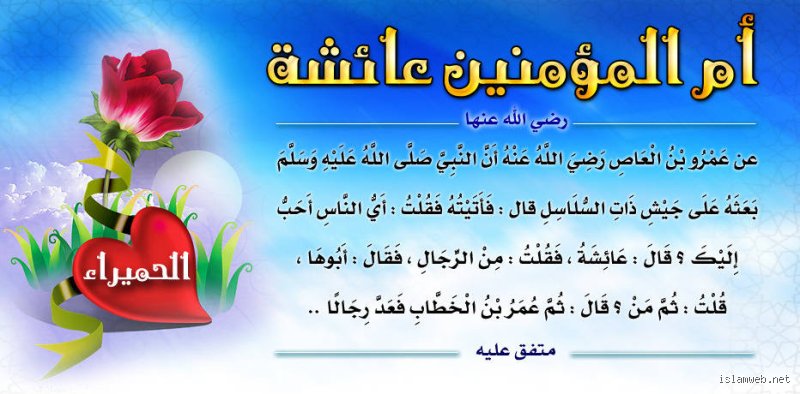 ما قصة عائشة عند الشيعة؟ تفكيك الجدل التاريخي والمذهبي