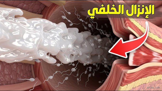 ماذا يحدث للمرأة بعد القذف من الخلف من الناحية الفسيولوجية والصحية؟
