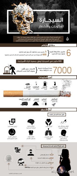 ماذا يحصل للعضو الذكري بعد ترك التدخين؟ إليك الحقيقة الطبية الكاملة