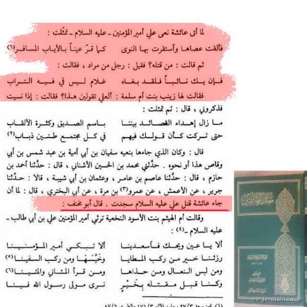 هل عائشة قاتلت الإمام علي في التاريخ الإسلامي؟ الحقيقة وراء الصدام