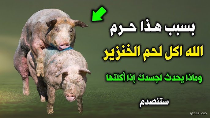 من أي جنسية لا تأكل لحم الخنزير؟ رحلة في خرائط العقيدة والمطابخ العالمية