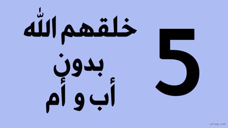 من هو النبي الذي ولد بلا أم؟ الإجابة التي تتجاوز حدود المنطق المعتاد
