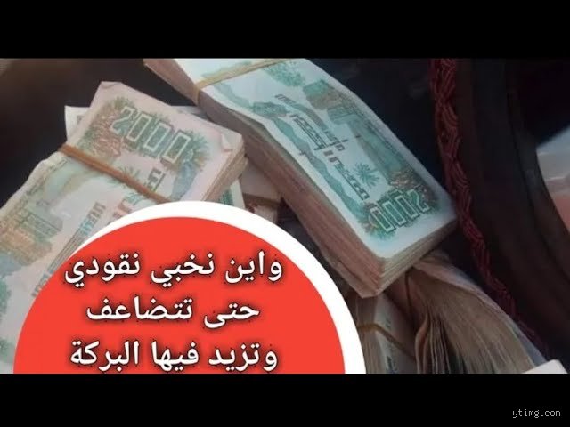أين أضع نقودي الآن؟ دليلك الميداني وسط ضجيج الأسواق المتلاطمة