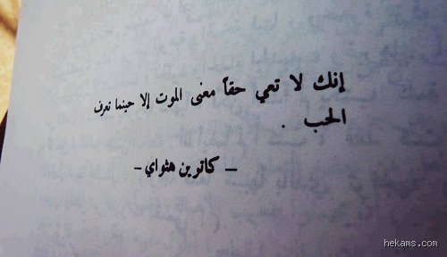 أيهما أقوى، الحب أم الموت؟ قراءة في صراع البقاء الأبدي