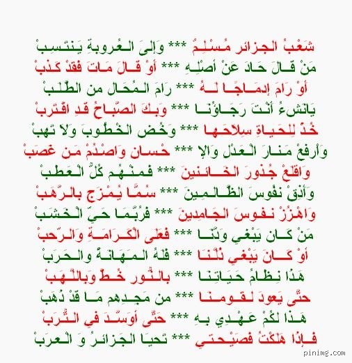 من هو أغنى شعب مسلم؟ رحلة البحث عن الثروة بين بريق النفط وقوة الأرقام