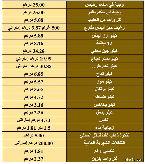 دليلك الشامل حول افضل رواتب في الامارات: أين تذهب الأموال الحقيقية؟
