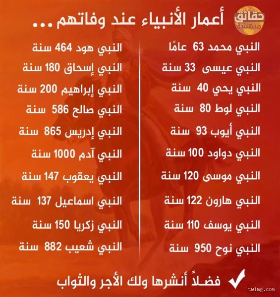النبي سليمان كم سنة عاش؟ فك شفرة العمر بين التاريخ والنص الديني