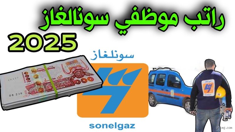 راتب سونلغاز في الجزائر: كشف المستور خلف أسوار المجمع الطاقوي الضخم